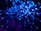 purple and blue light digital wallpaper