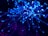 purple and blue light digital wallpaper