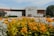 A well-maintained garden filled with vibrant yellow and orange flowers, leading up to a large modern building with a white and brown facade. The building has an inscription in Russian on the main entrance wall. There are several people walking and standing around the garden area, and a sculpture of a tank is visible on the left side of the image.