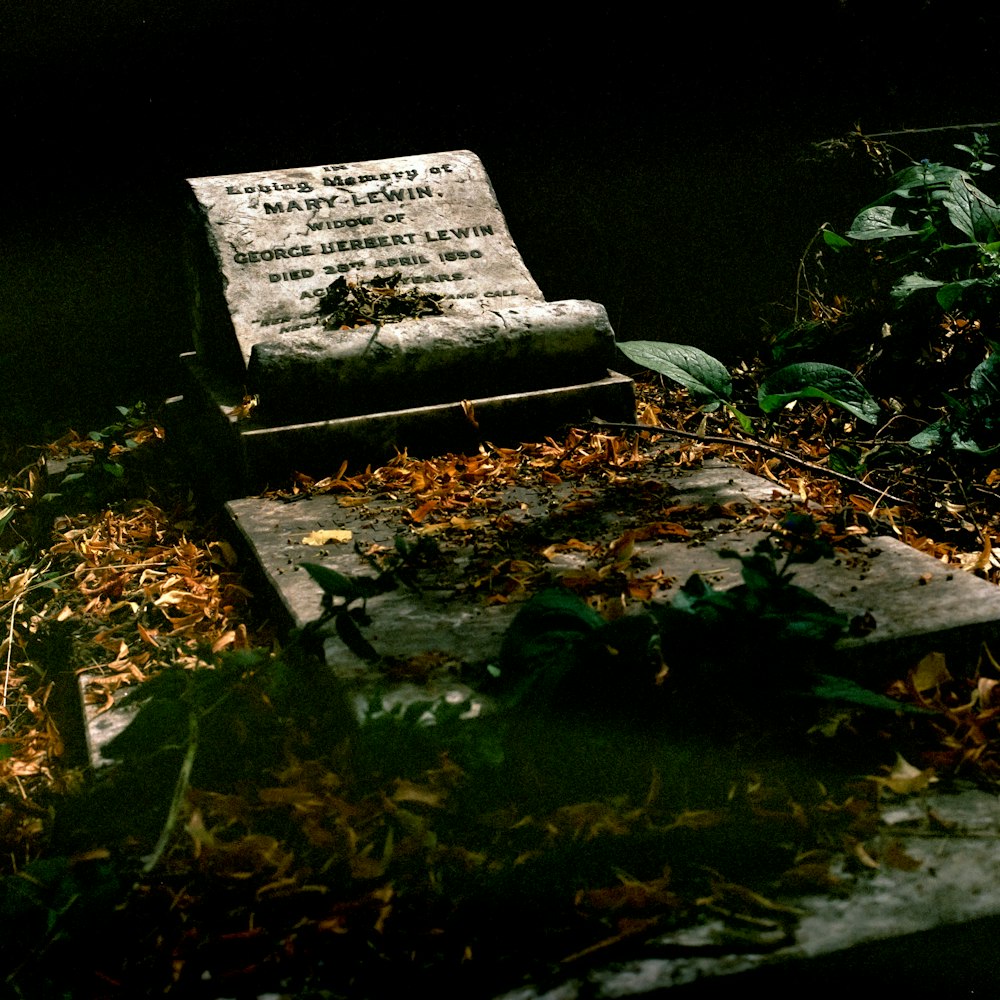 white concrete tomb with green leaves