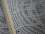 Close-up of an open book with highlighted passages on decision-making and finance.