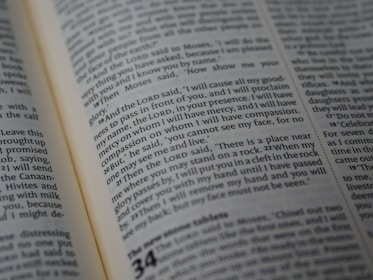 Close-up photo of an open book with highlighted passages about current events.