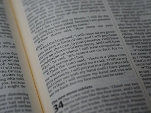 Close-up of an open book with highlighted passages on decision-making and finance.