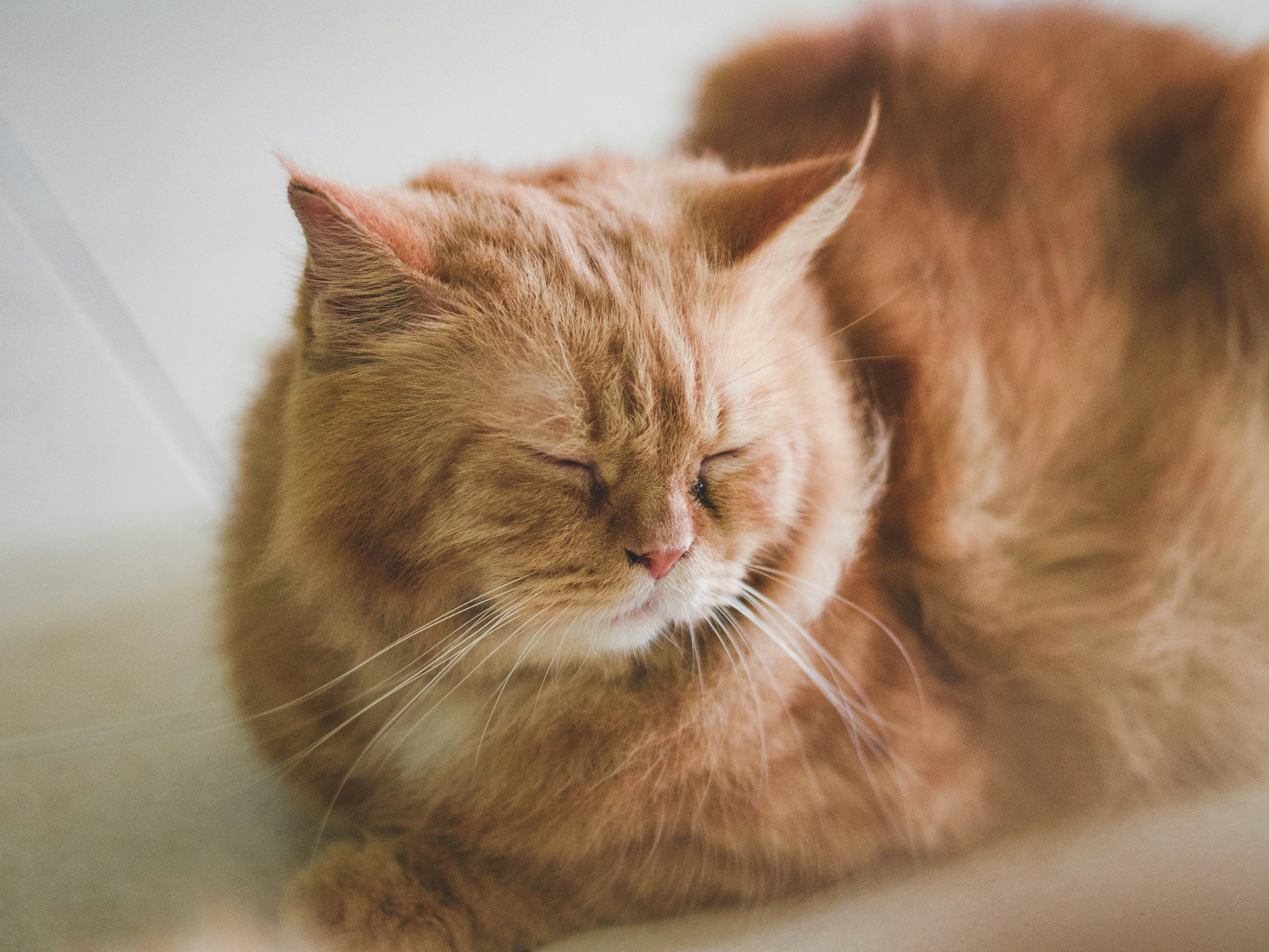 Photo by rktw_extend