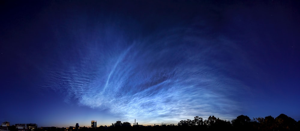 silhouette of trees under blue sky during daytime