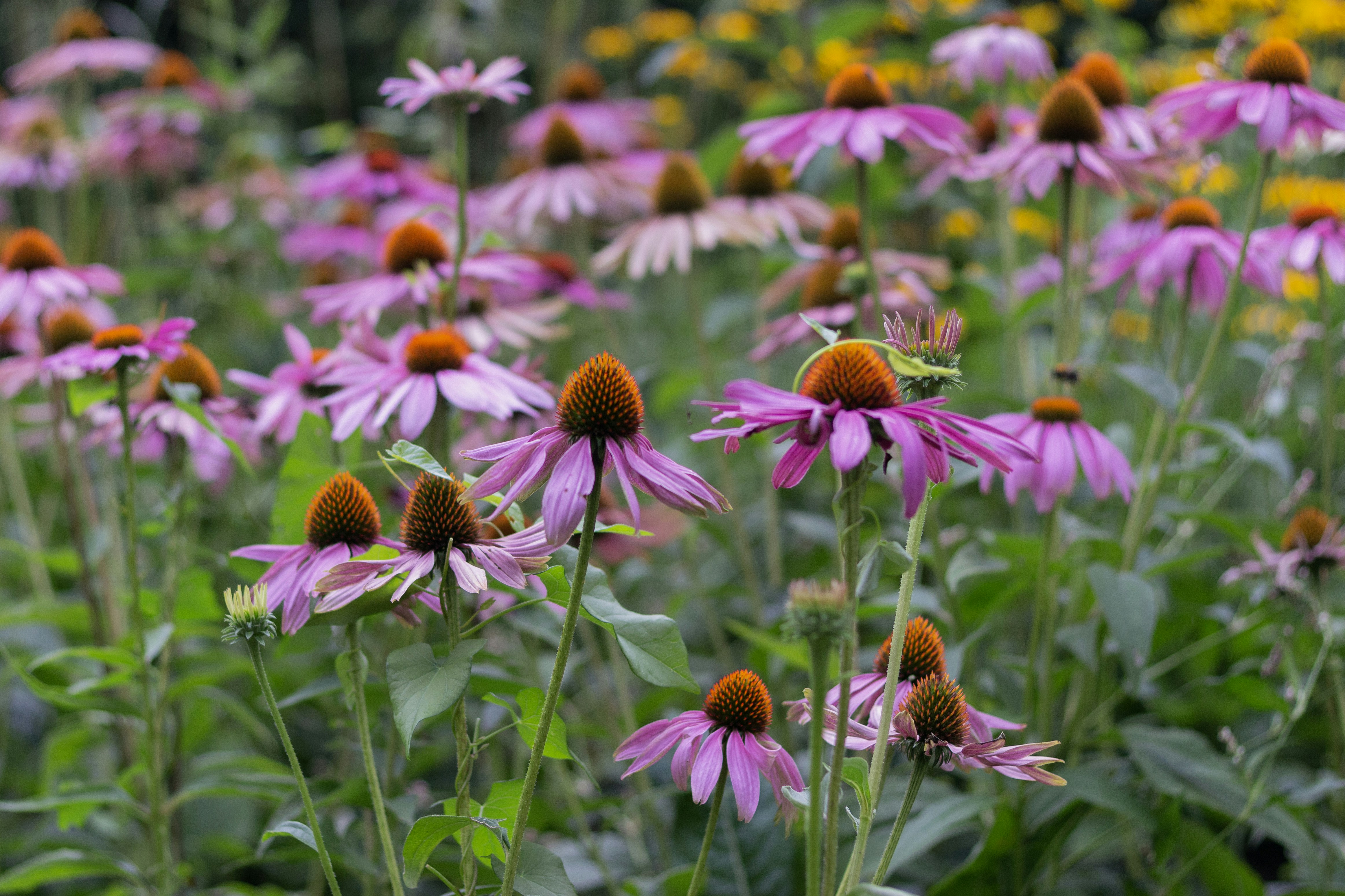 Photo by valerielenoire