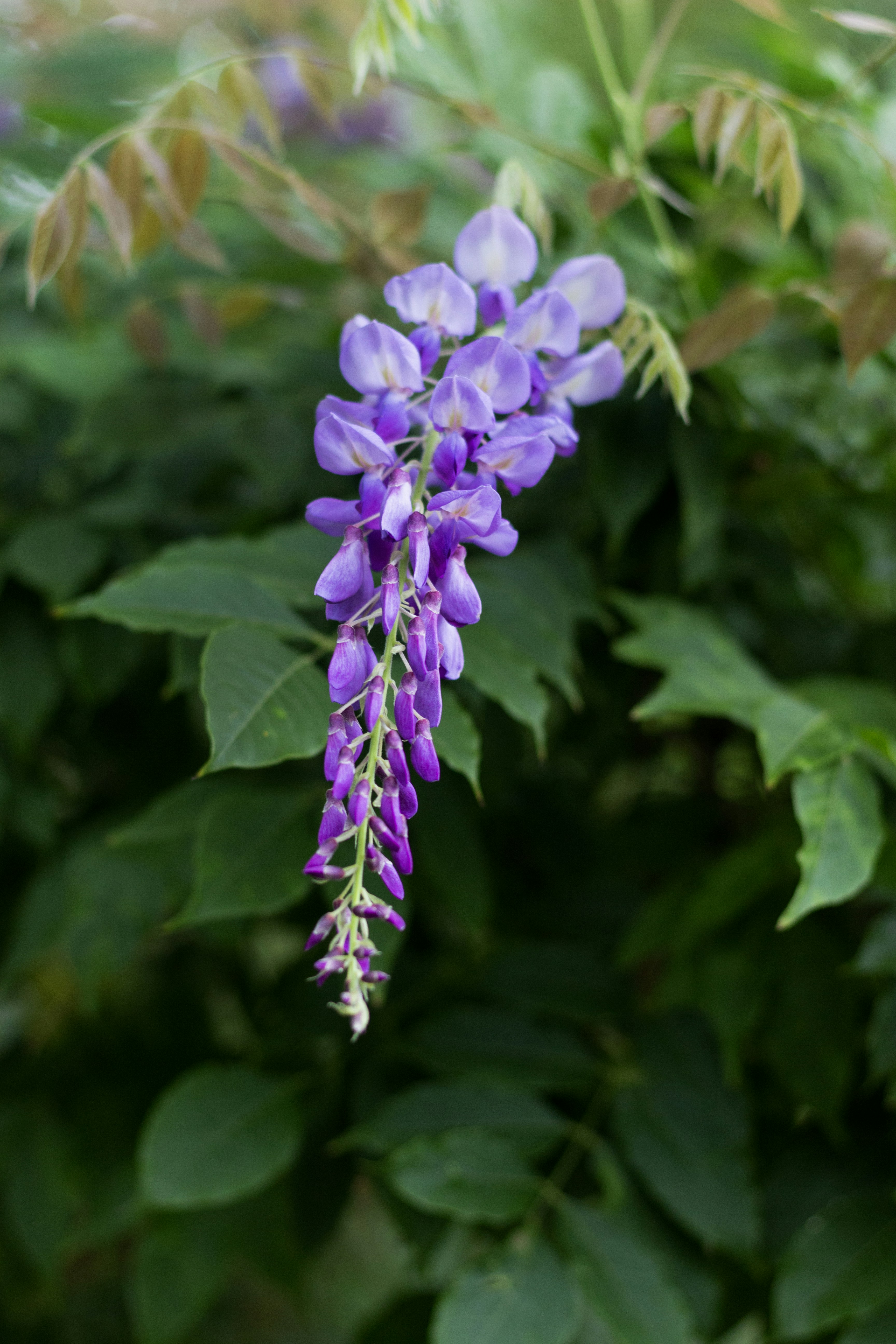 Photo by valerielenoire