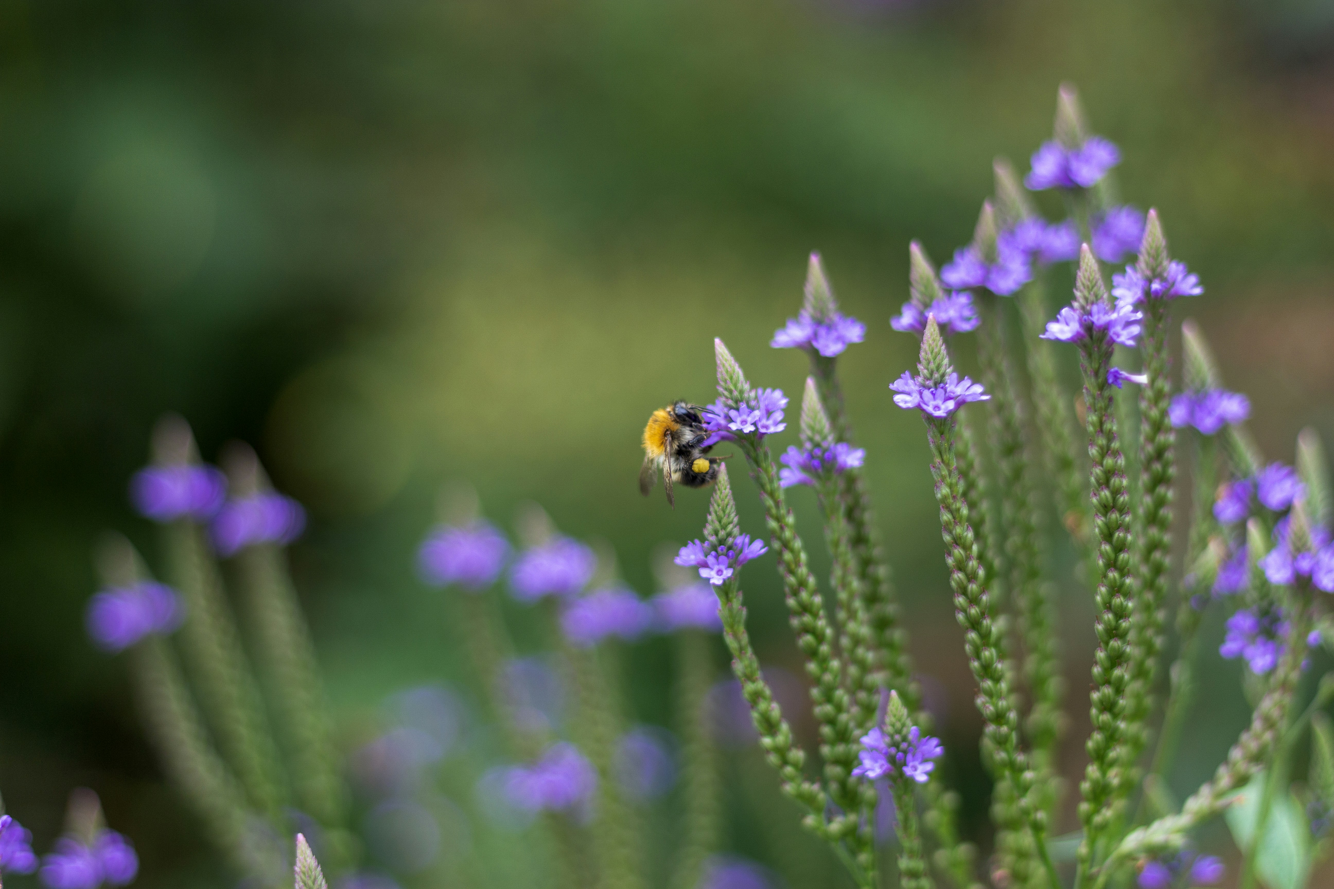 Photo by valerielenoire