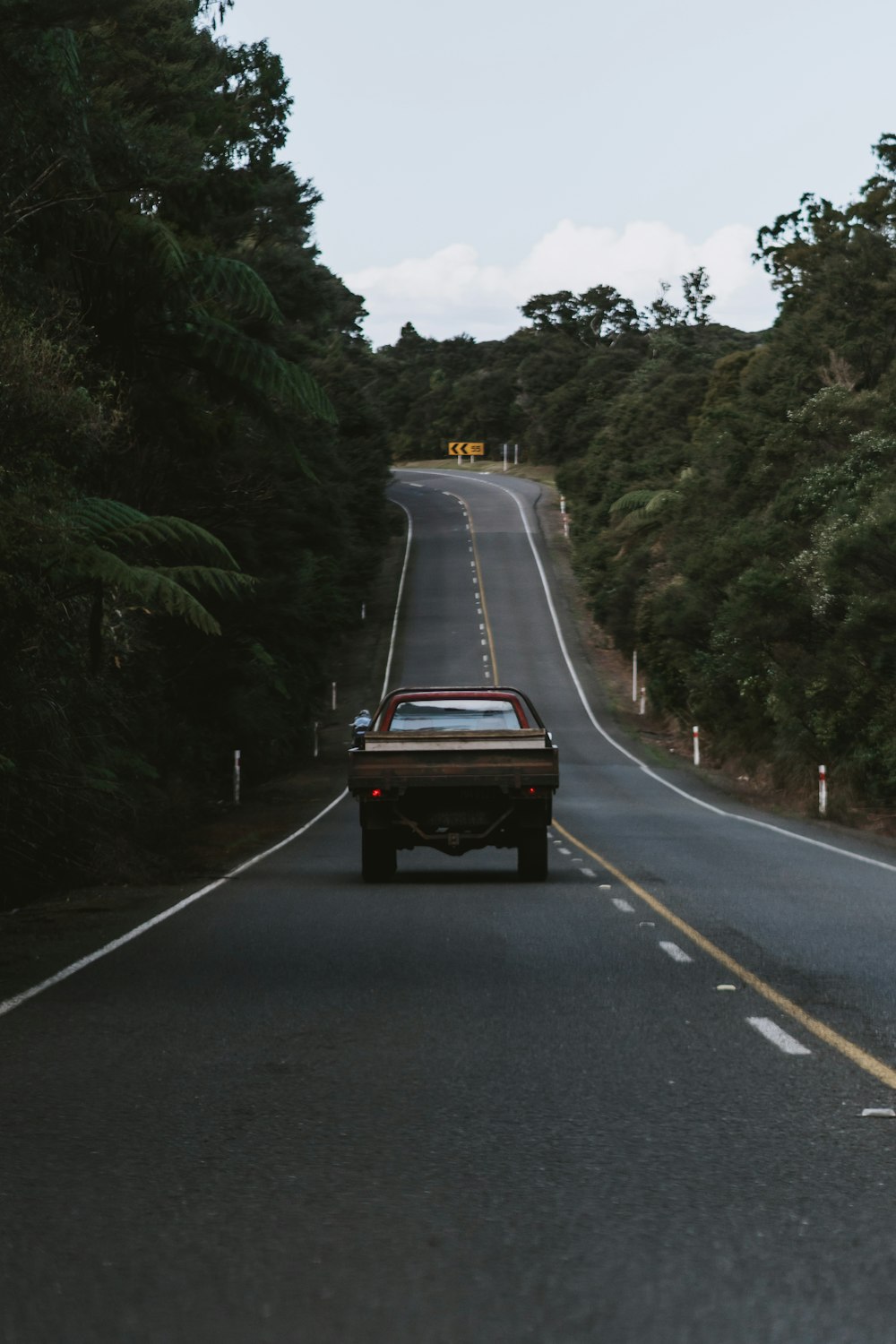 black car on road between green trees during daytime