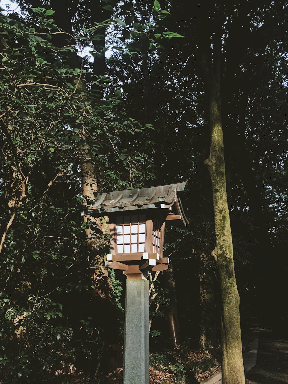 brown wooden birdhouse on tree