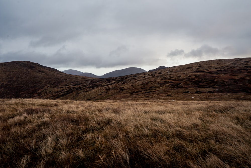 brown grass field near brown mountain under white clouds during daytime