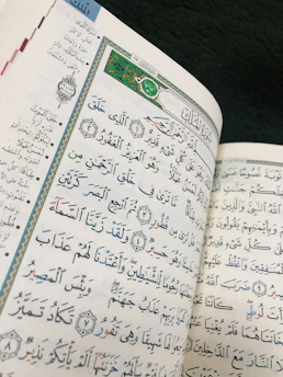 A detailed close-up of an illuminated Ottoman manuscript page with intricate gold and burgundy patterns.