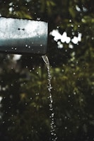A clean, well-maintained gutter system directing water away from a home.