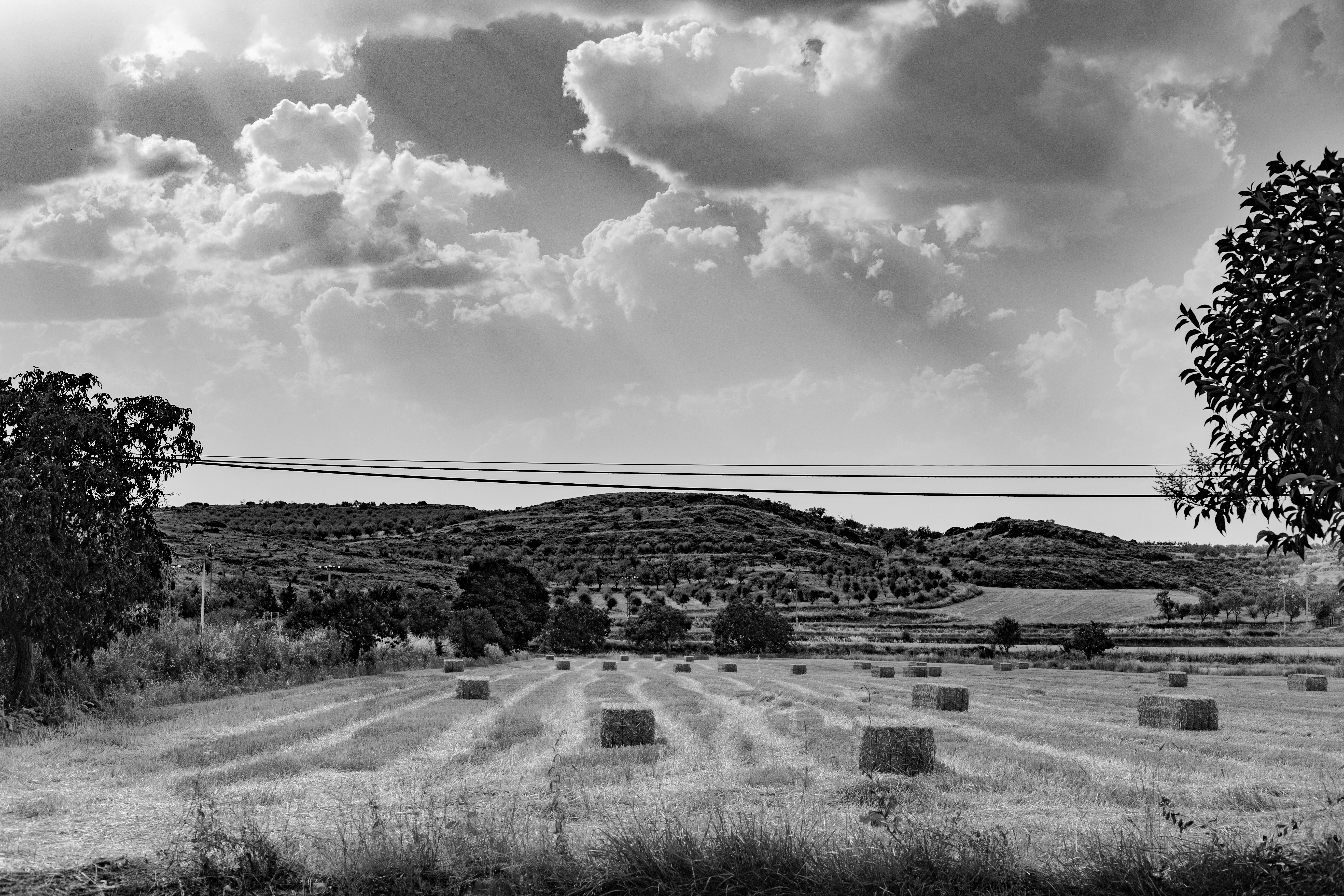 Photo by jose_gomez_escandell