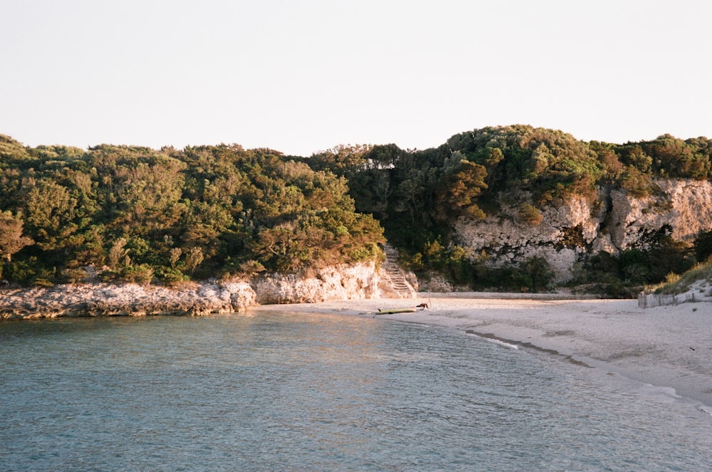 green trees on island during daytime