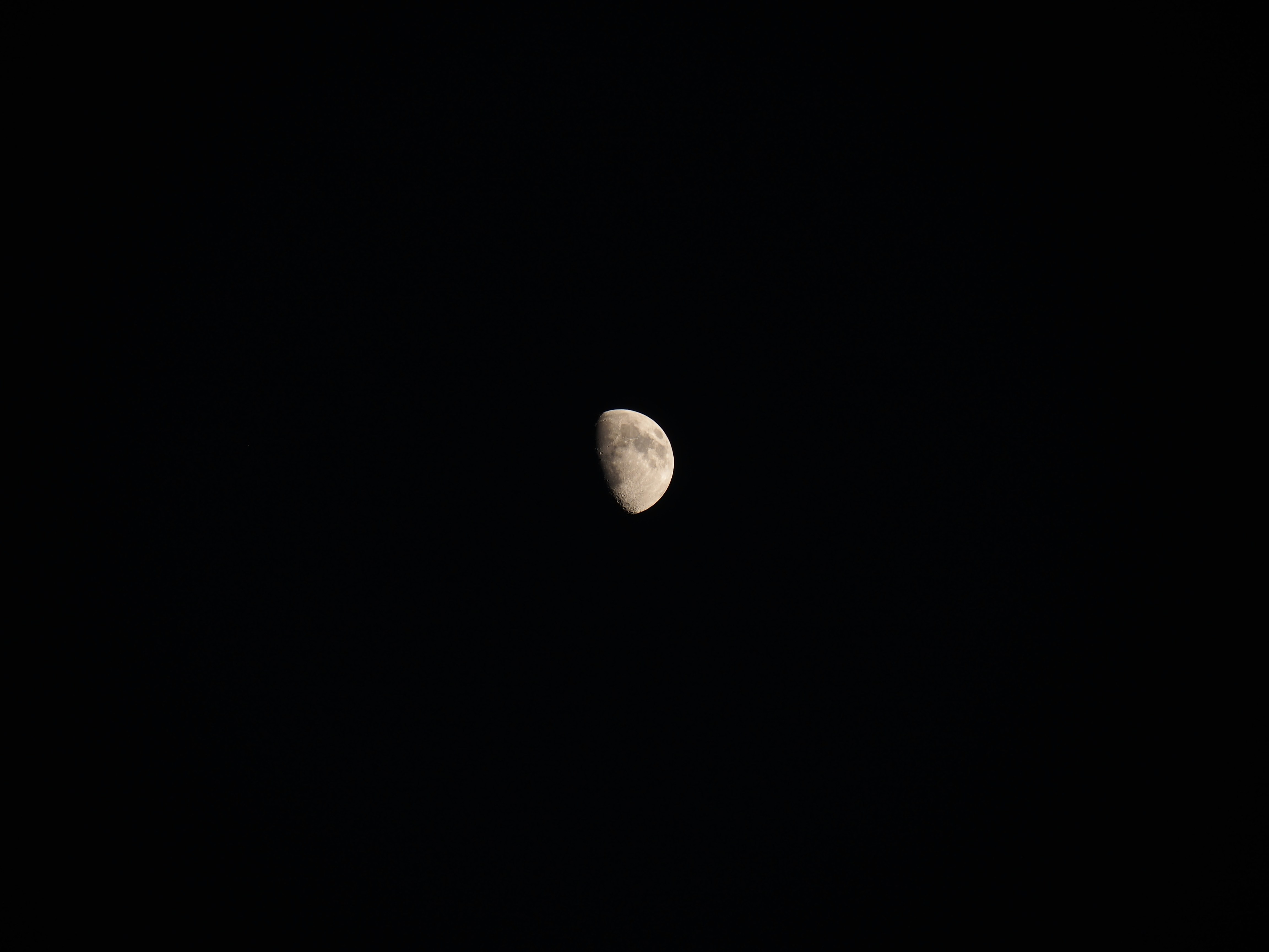 Photo by nimbus_vulpis