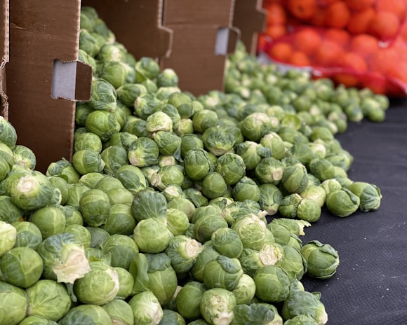 A large pile of fresh green Brussels sprouts is displayed on a black surface, with some of them spilling out of open cardboard boxes. In the background, there is a glimpse of a red mesh bag containing numerous oranges.