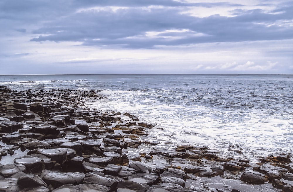 rocky shore under blue sky during daytime