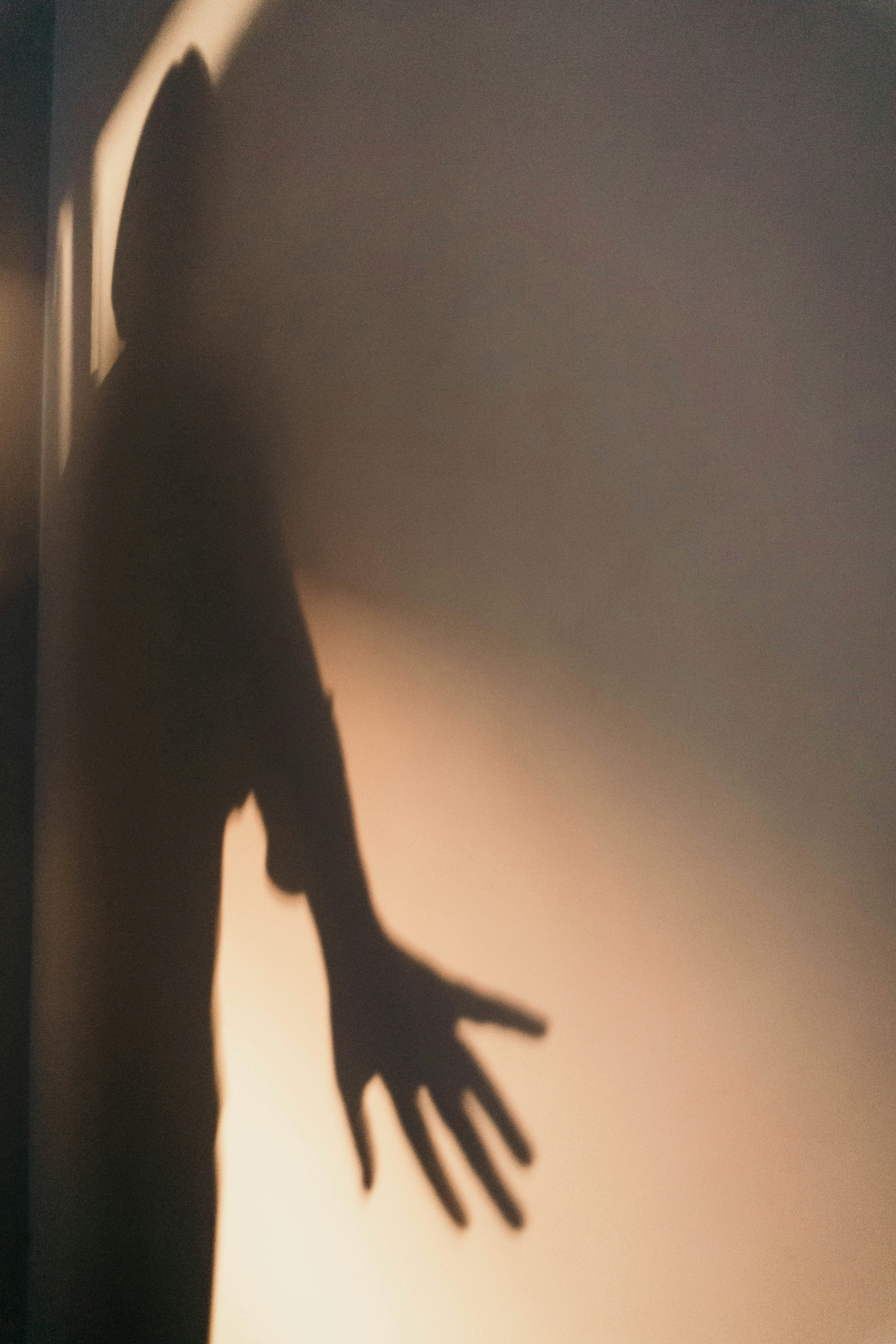 Photo by andreeapop_