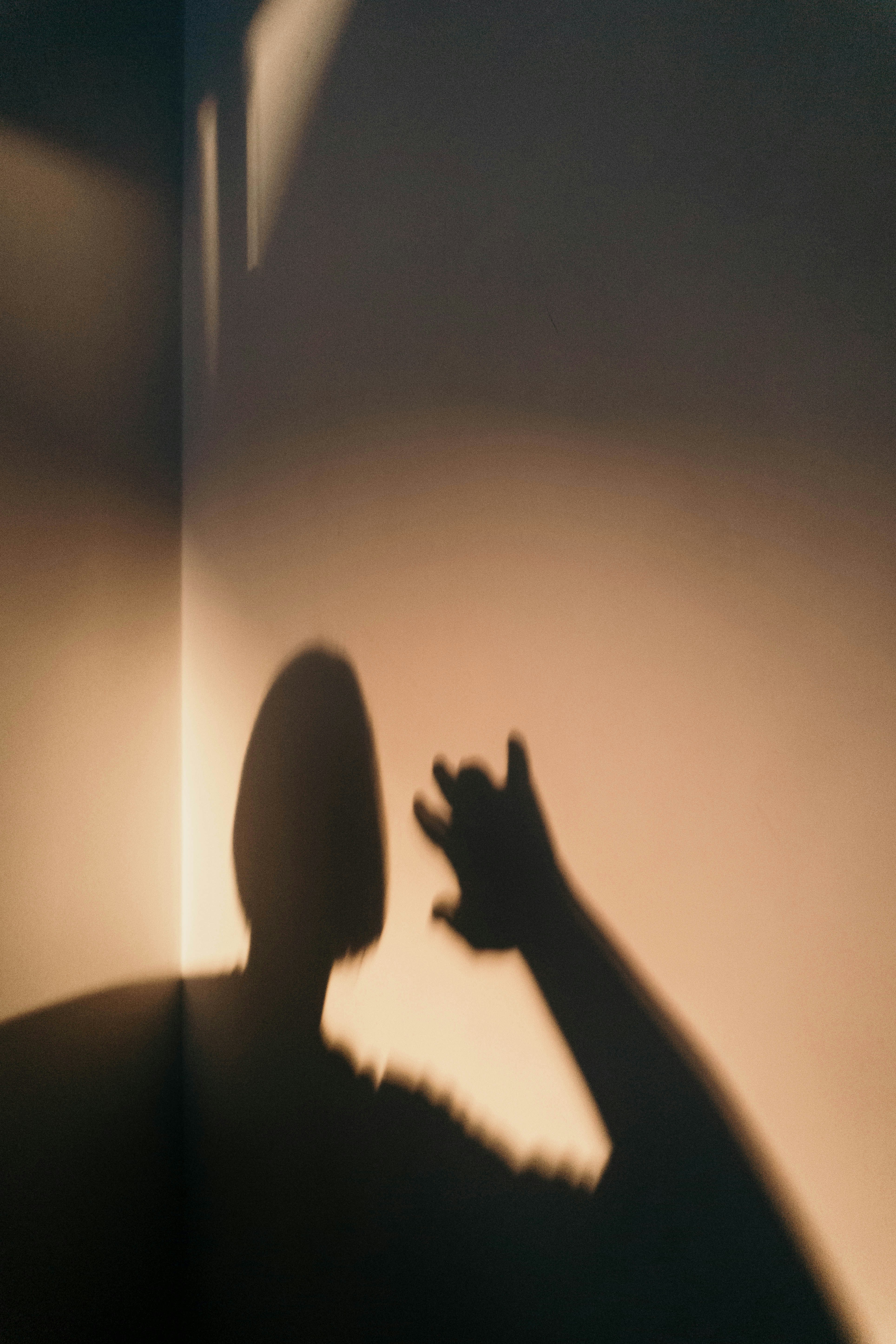 Photo by andreeapop_