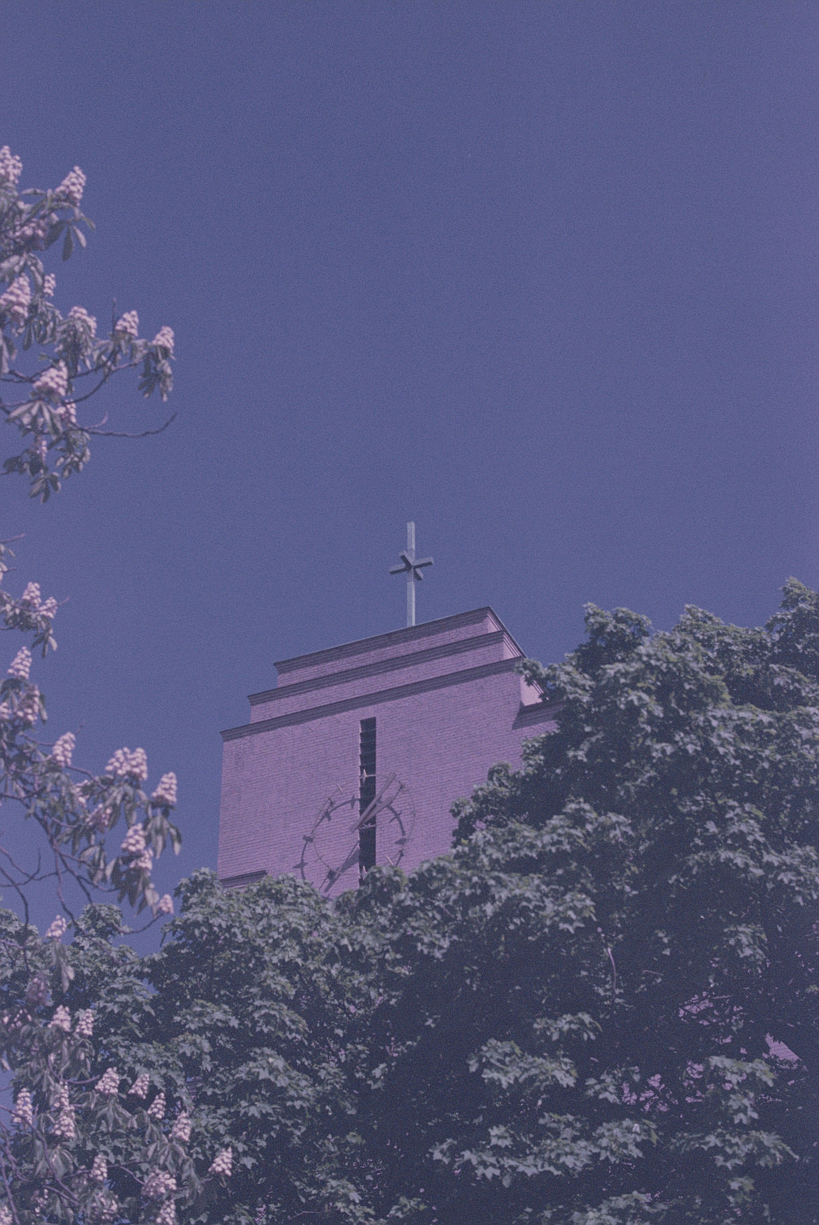 昼間の青空の下での茶色と緑の木の写真 – Unsplashの教会の無料画像, image size:3000x4486