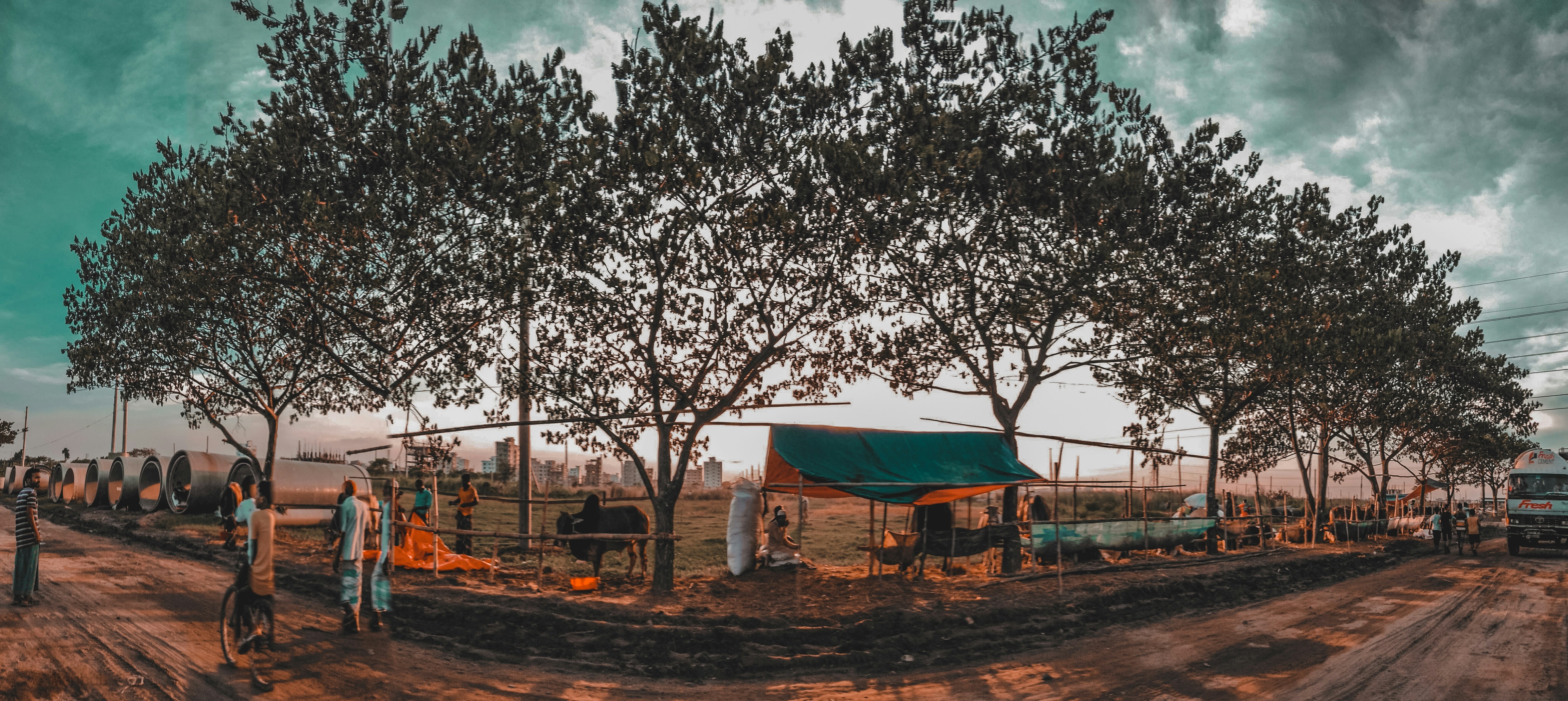 Photo by almahbub164