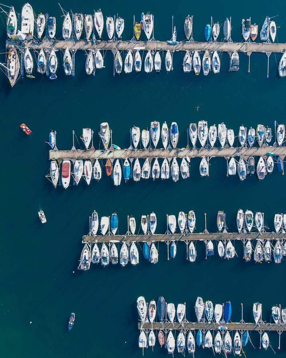 white and blue boat on sea during daytime