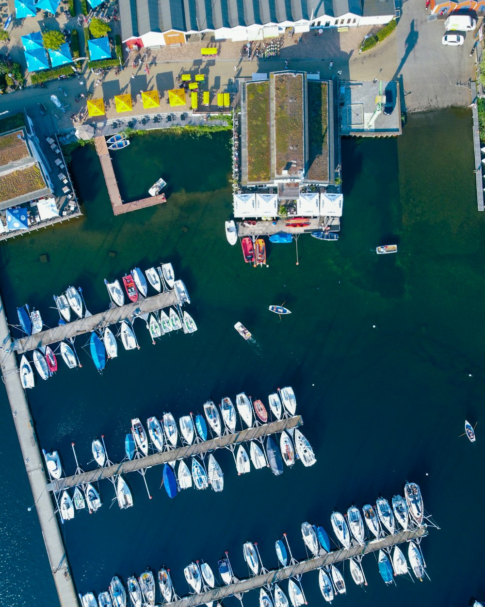 aerial view of white and blue boat on body of water during daytime