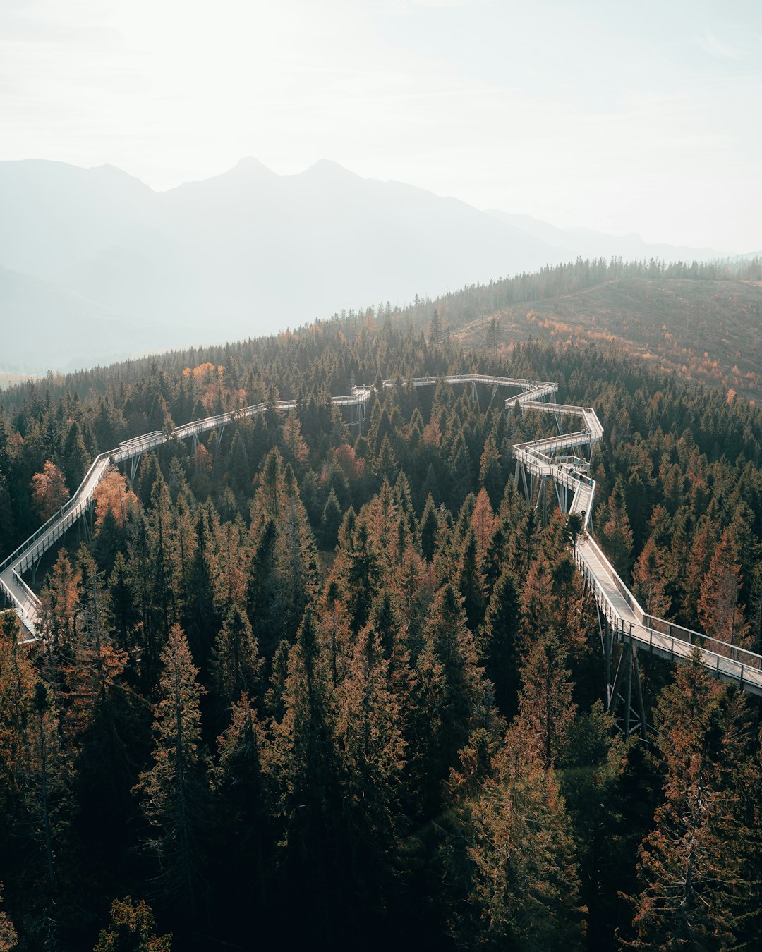 Bridge photo spot High Tatras Walkway canopy Bachledka