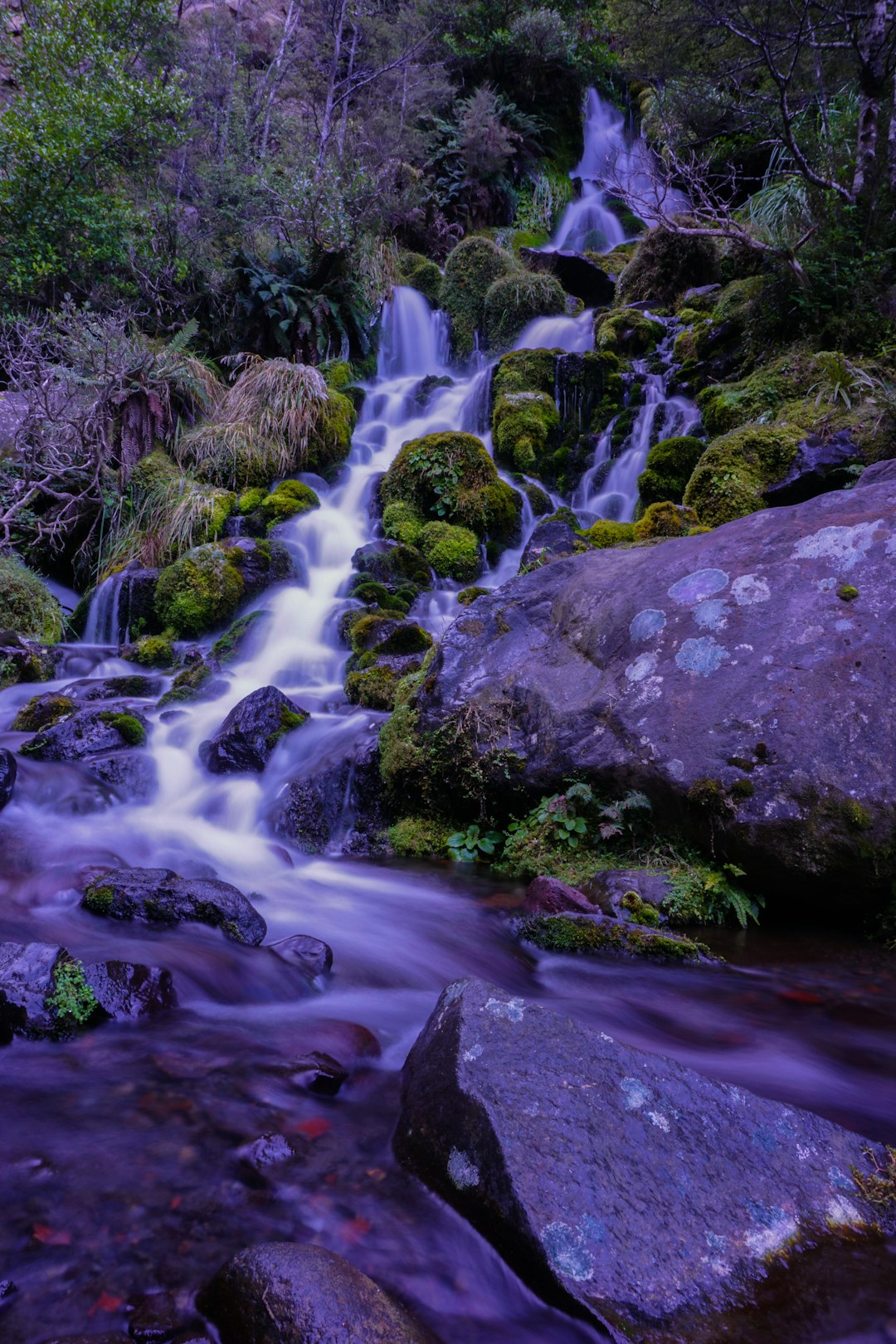travelers stories about Stream in Tongariro National Park, New Zealand
