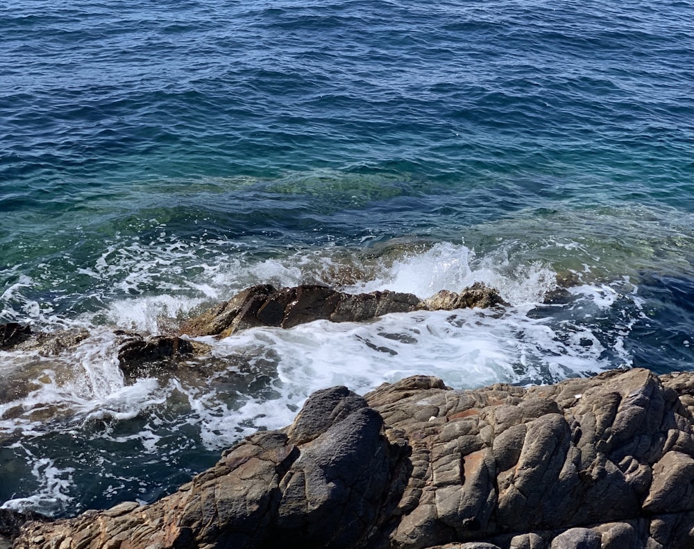 ocean waves crashing on brown rocky shore during daytime