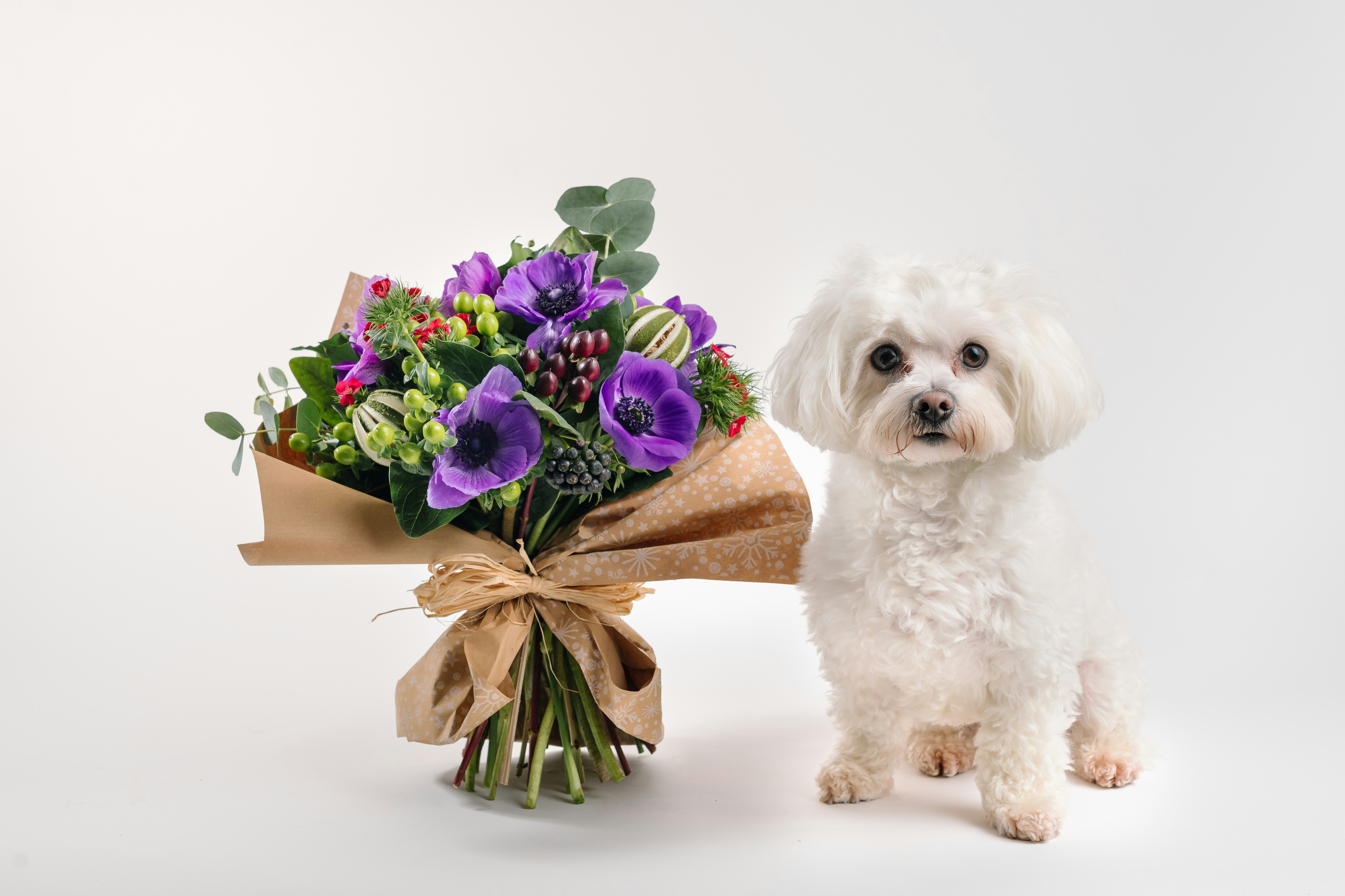 Advance Birthday Wishes for Best Friend: Heartfelt & Viral