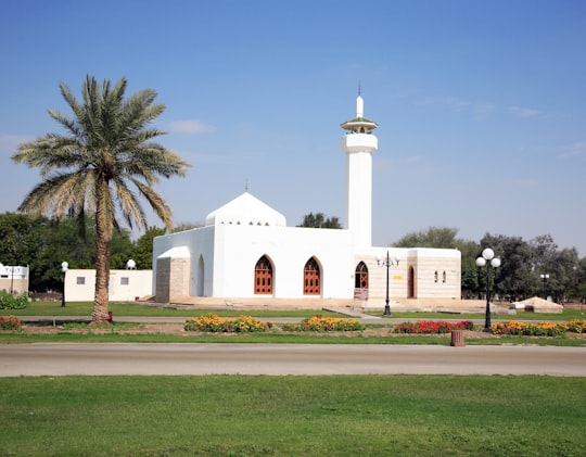 white concrete building near palm trees during daytime in Sharjah - United Arab Emirates United Arab Emirates