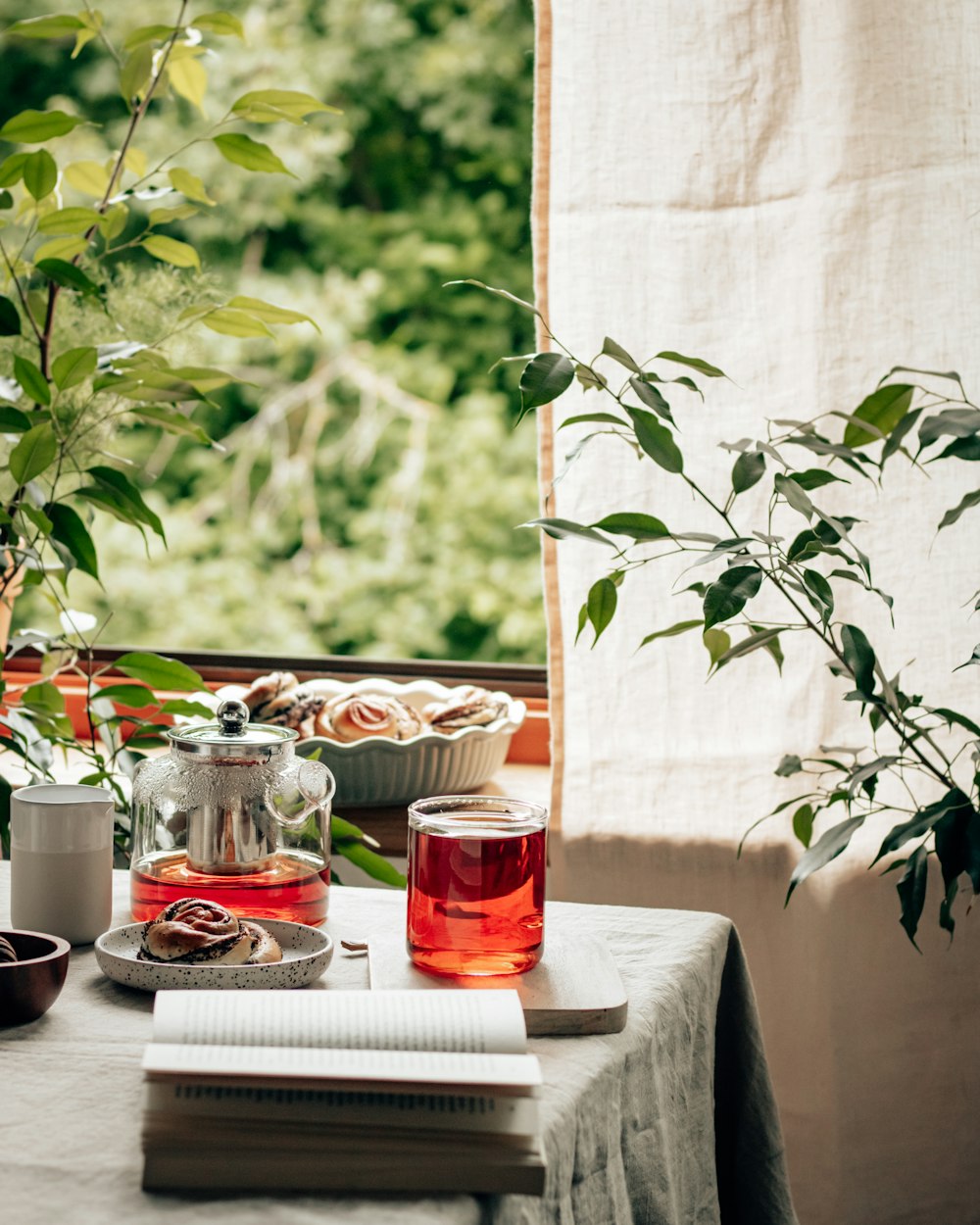 clear glass mugs on white ceramic plate beside green plant