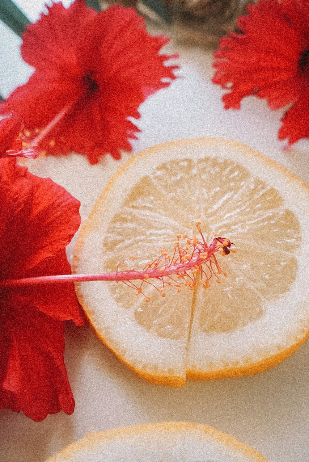 red flower with yellow lemon
