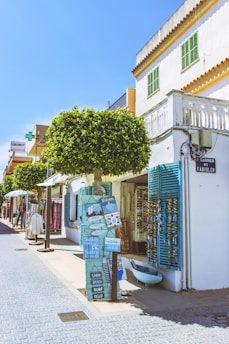 A charming street scene with bright and colorful buildings and shops. One can see a tree with a leafy canopy, various signs with beach-themed messages, and windows with blue shutters. The street is lined with small businesses displaying merchandise such as clothing and accessories. A clear blue sky complements the vibrant atmosphere.