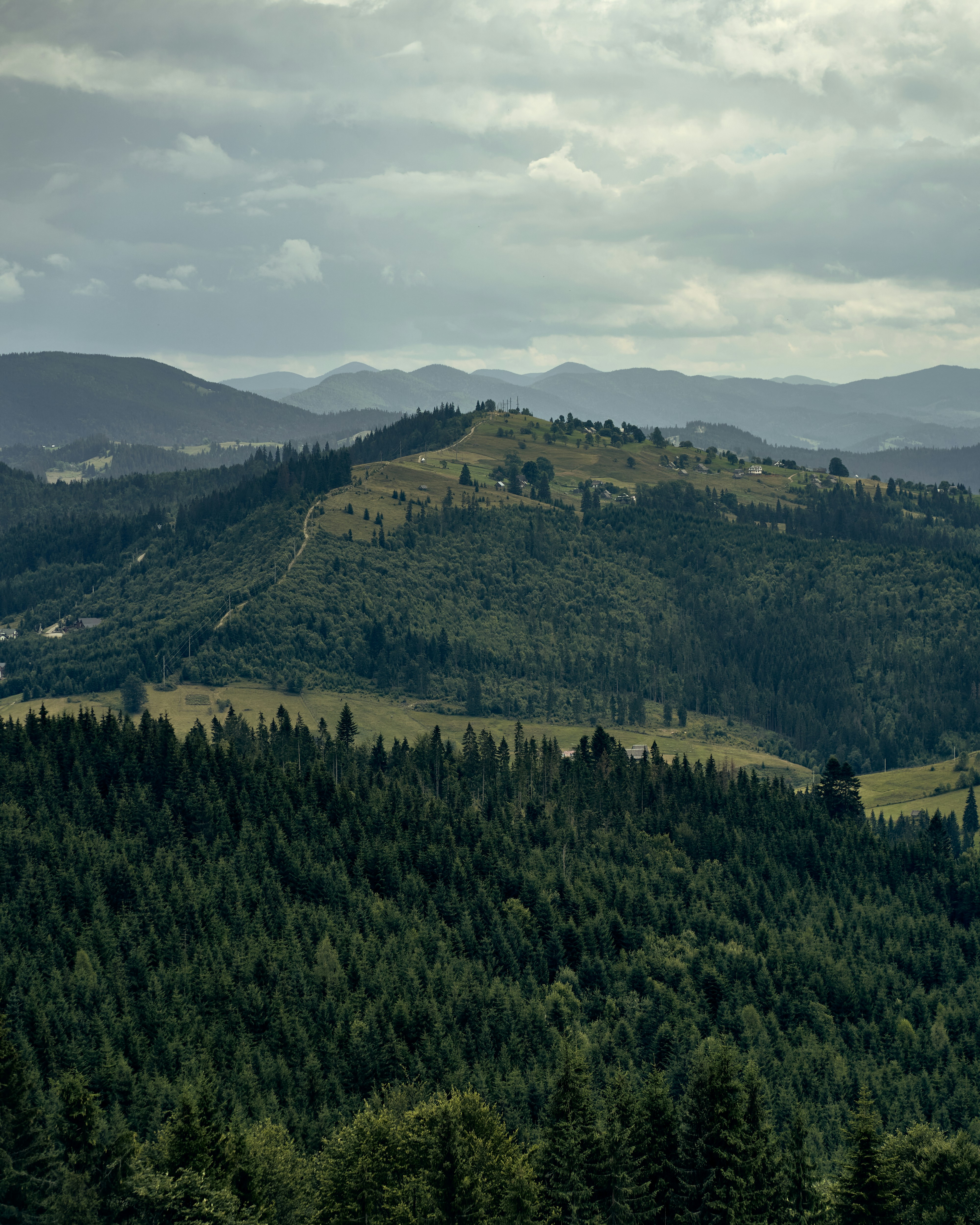 Photo by wonderland8