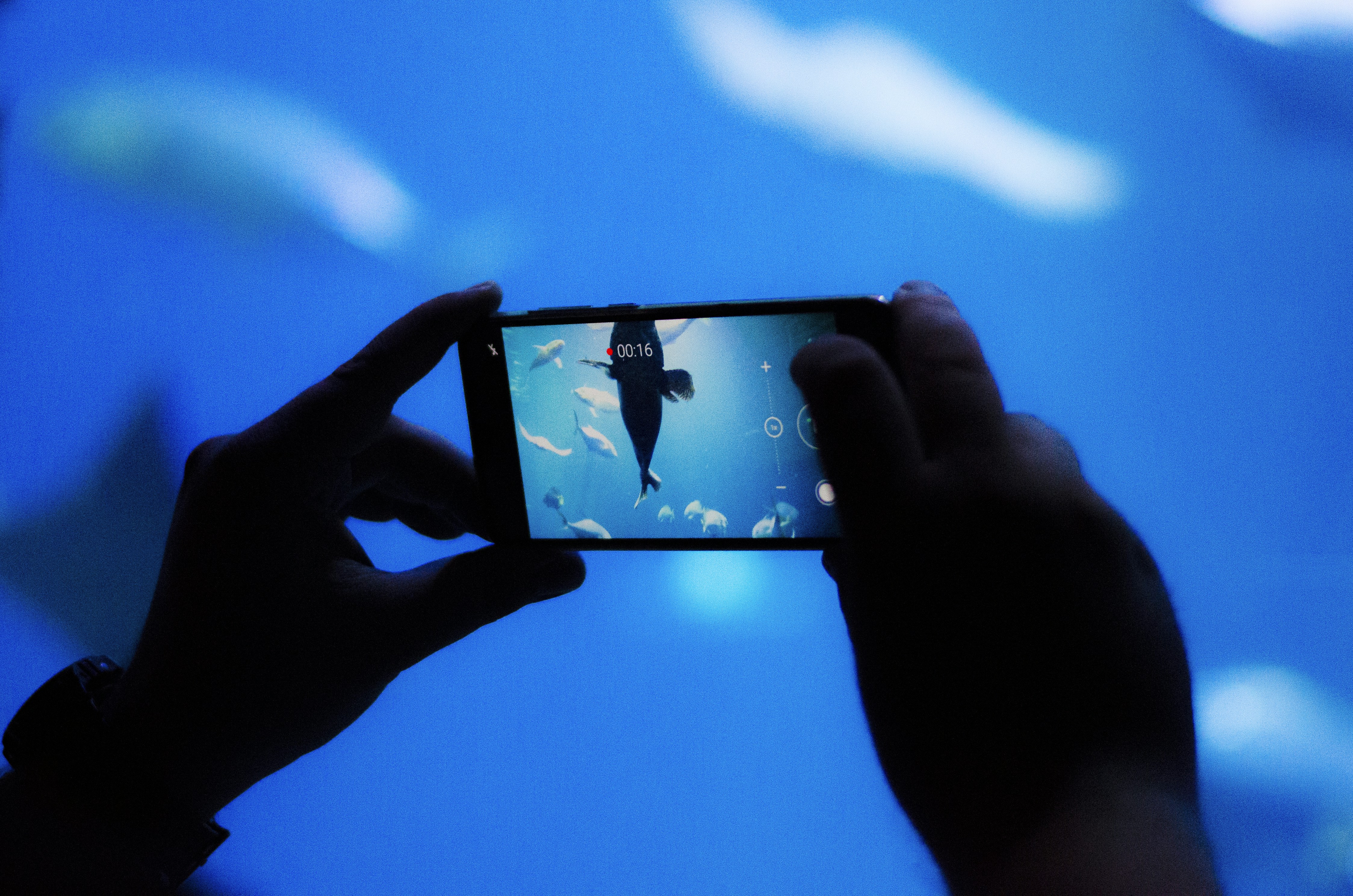 Understanding Health Insurance - KFF