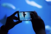 person holding black android smartphone