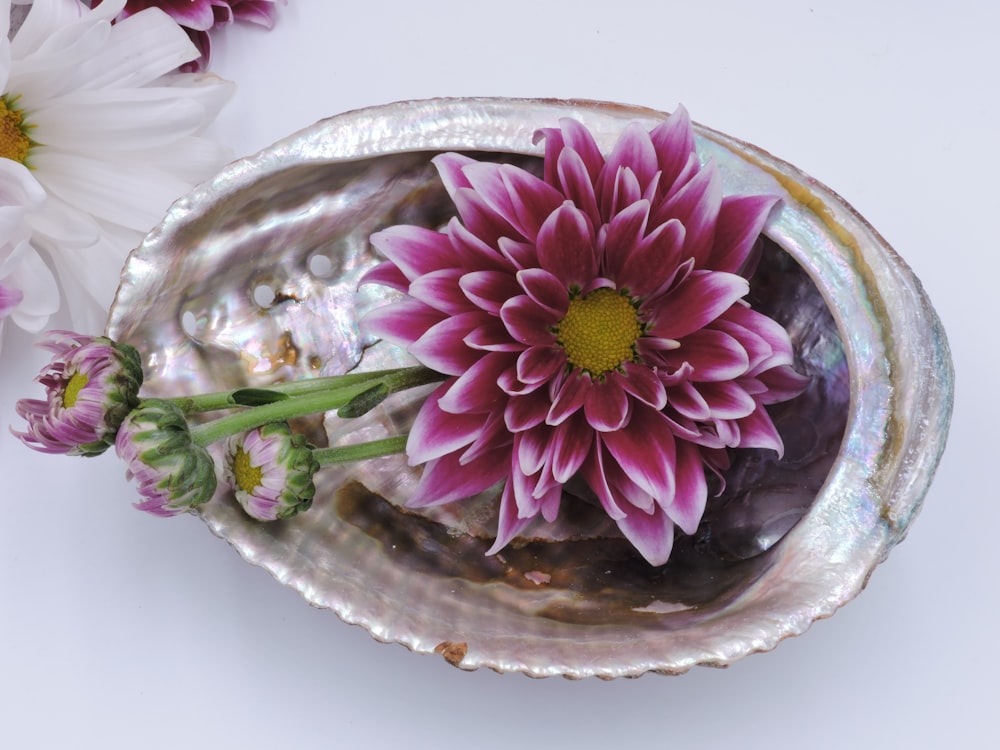 pink and yellow flower on stainless steel bowl