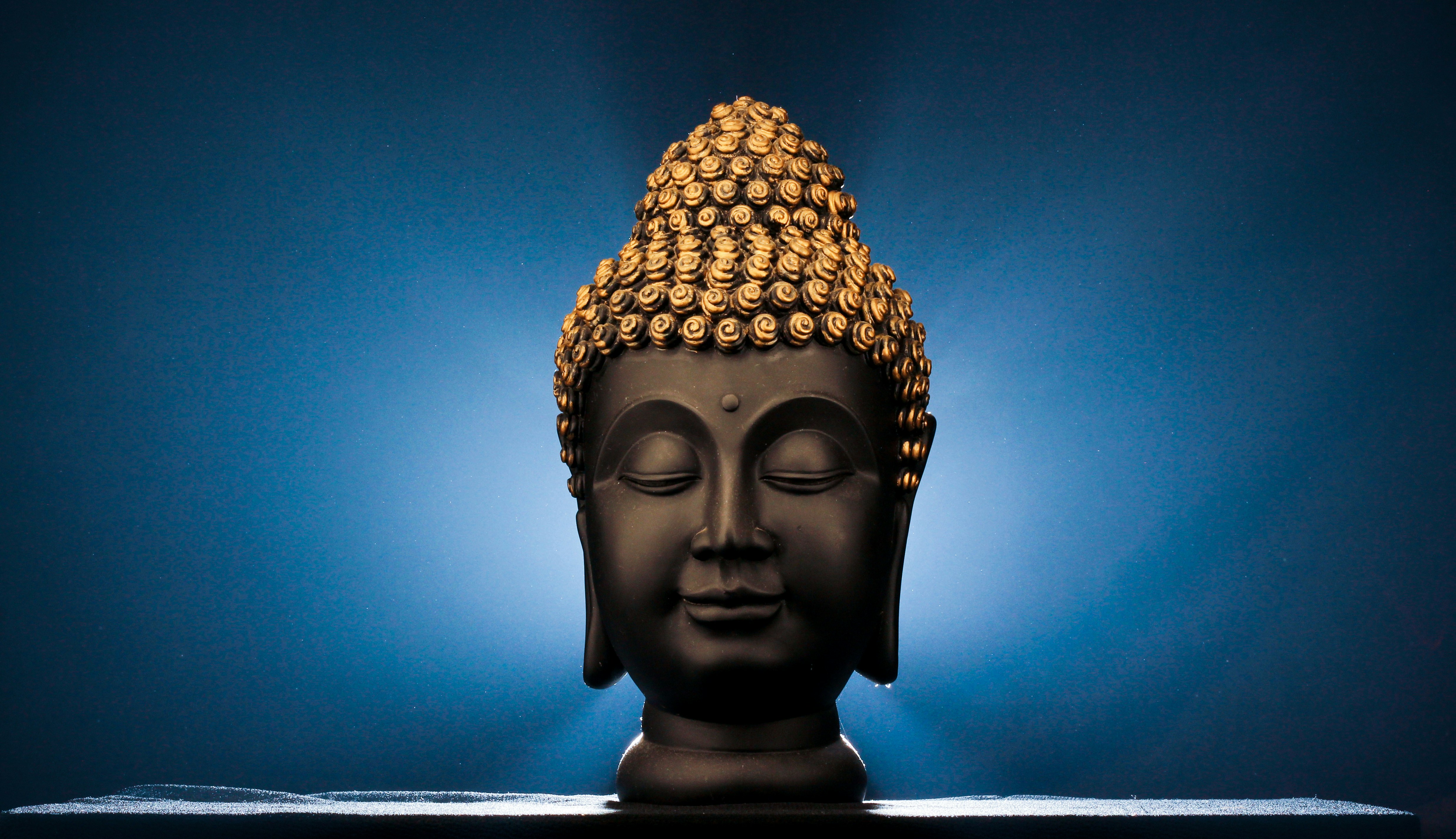 Buddha Wisdom Hoodie