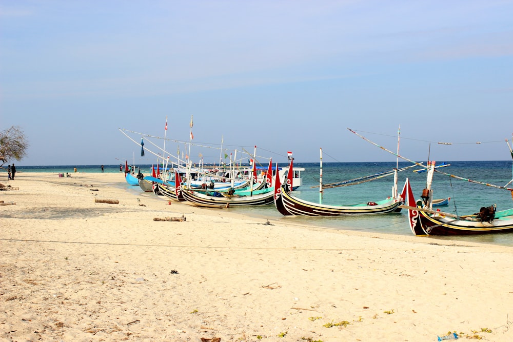 red and blue boat on beach during daytime