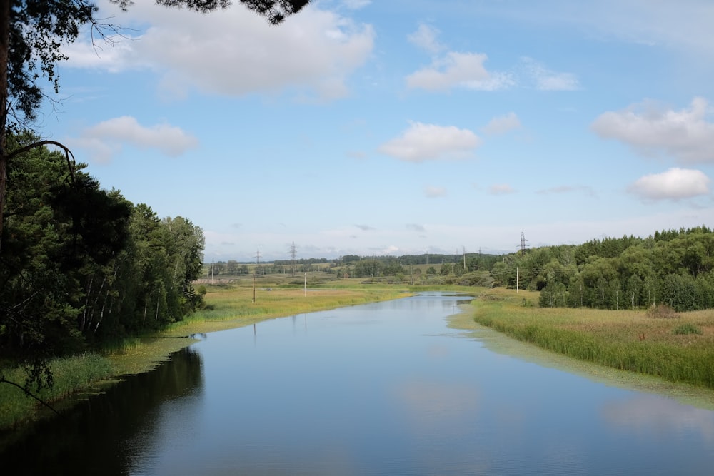 campo di erba verde vicino al lago sotto il cielo blu durante il giorno