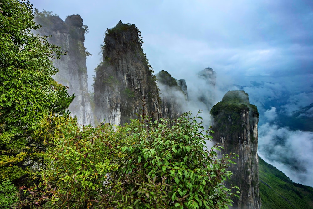 green trees on mountain under white clouds during daytime