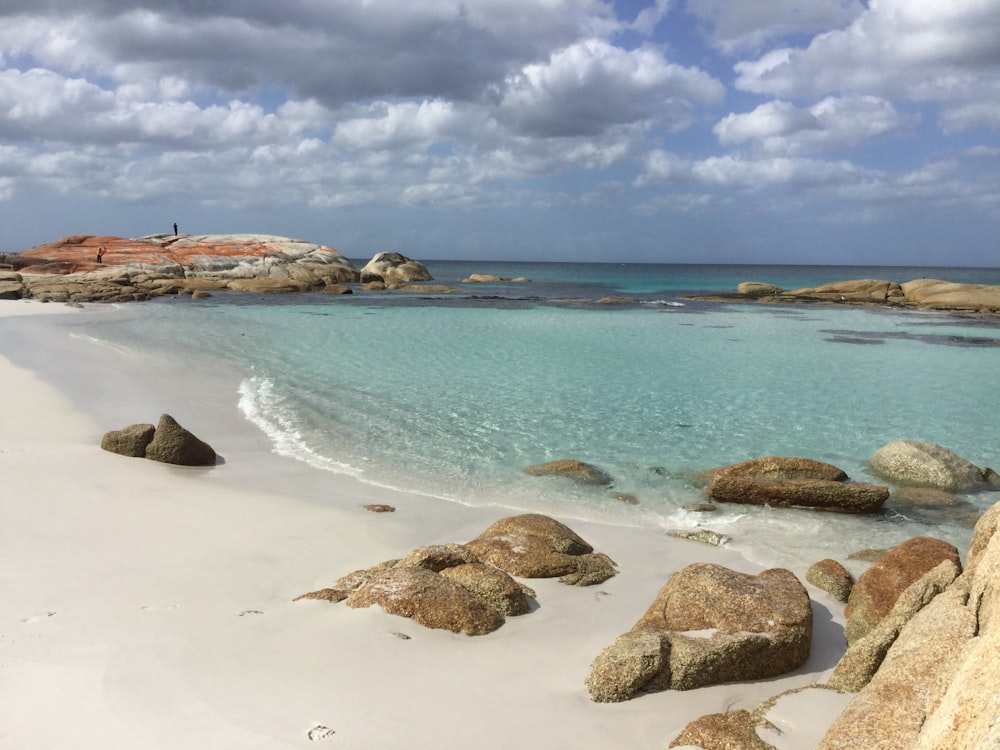 Gente en la playa durante el día