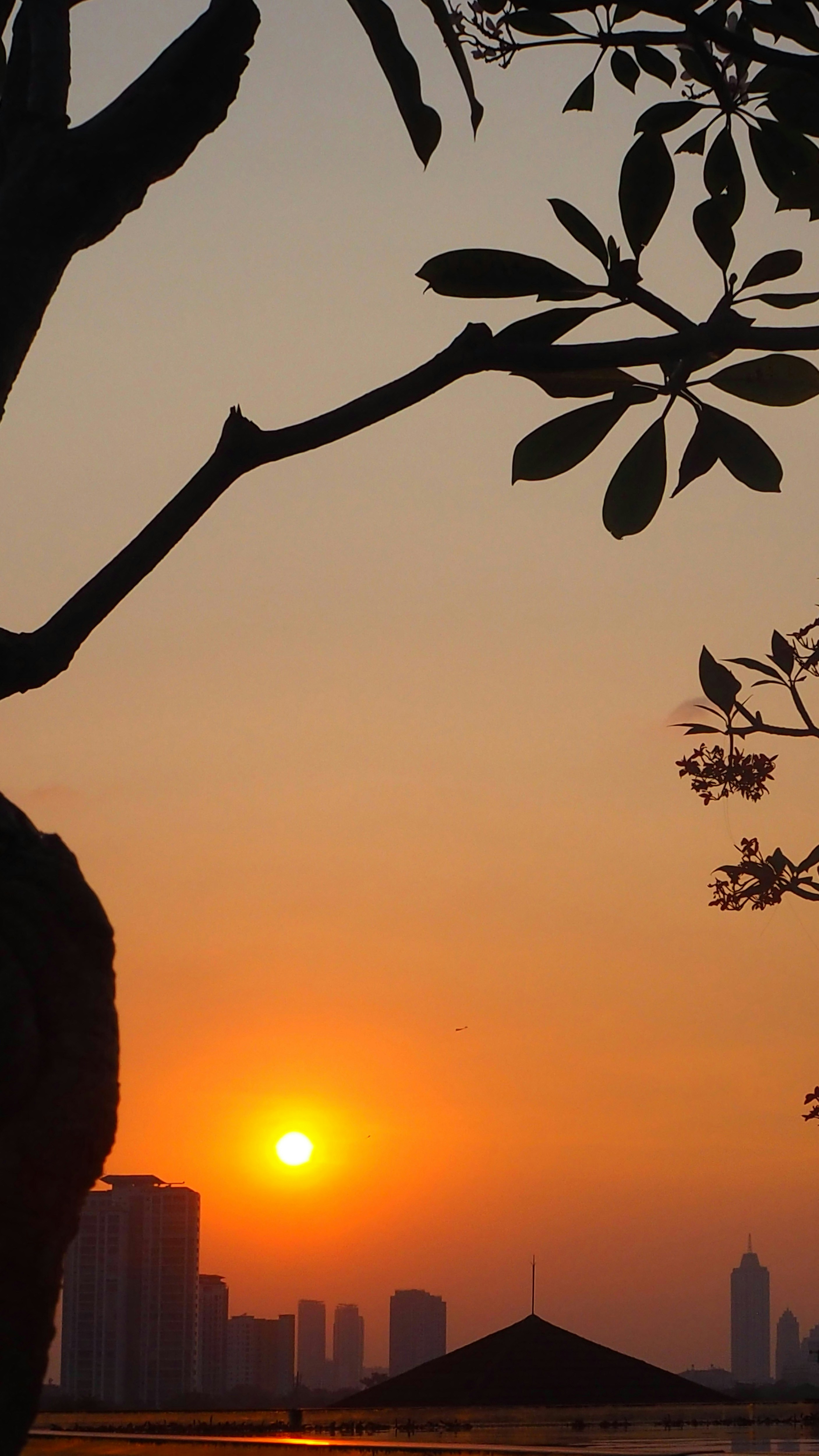 Sunset Over Cityscape