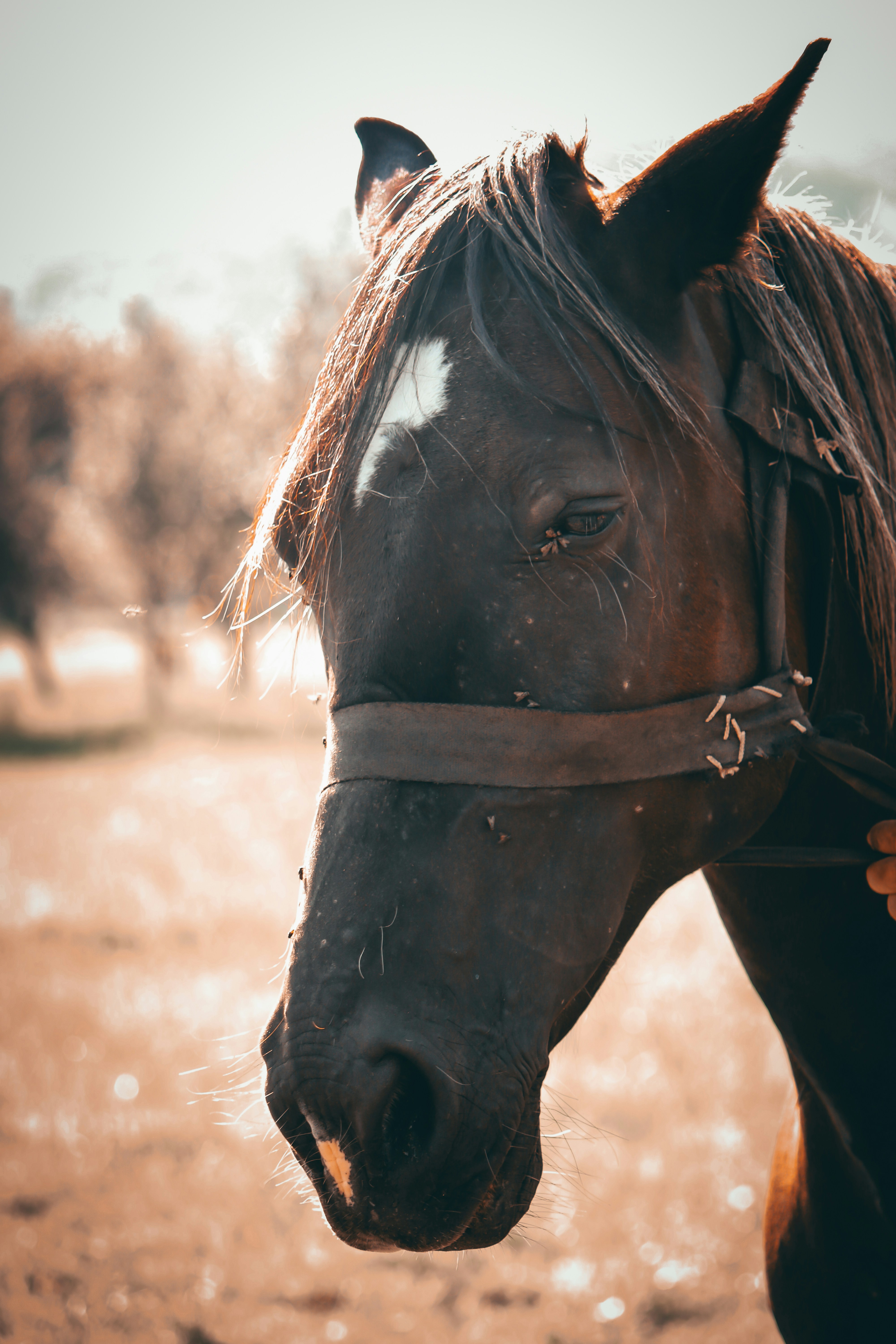 Photo by elisamoldovan