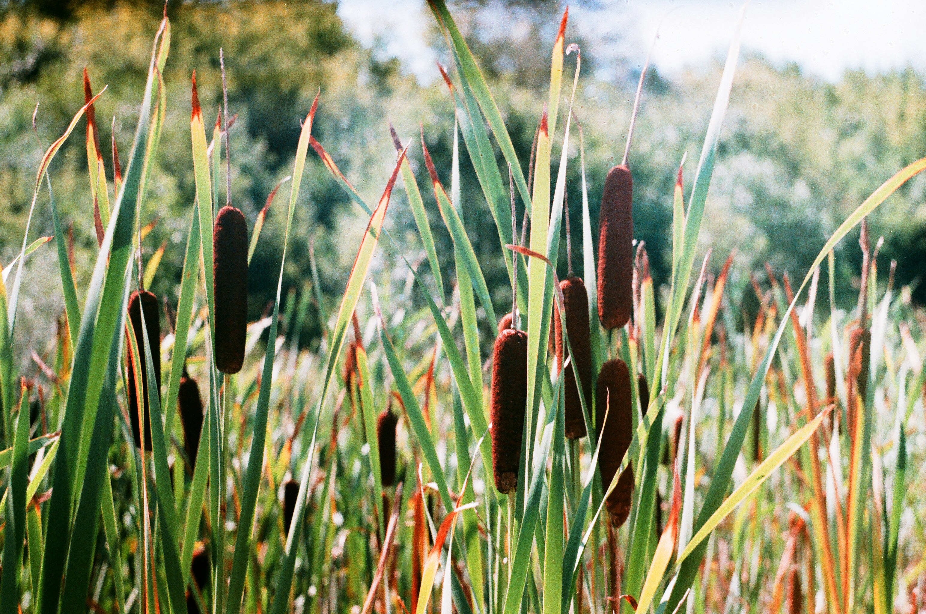 Photo by filedoesnotexist