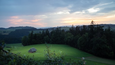 Sunset view from the cabin surrounded by lush green forest.