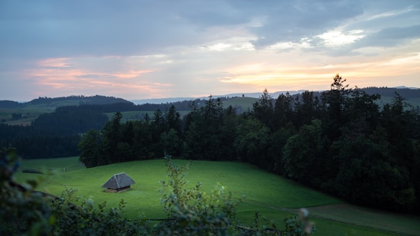 A serene view of lush green forest surrounding cozy eco-friendly cabins at sunset.